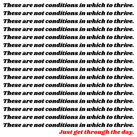 conditions in which to thrive